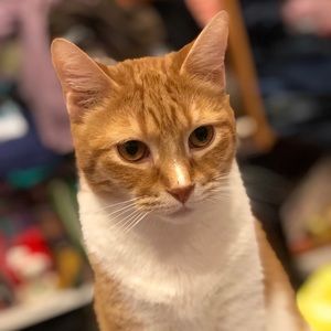 Meet your Posher, Michelle